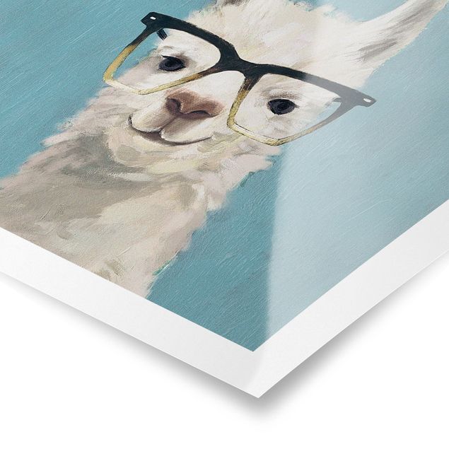 Obrazy zwierzęta Llama w okularach IV