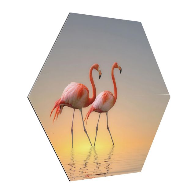 Obrazy ze zwierzętami Miłość flaminga