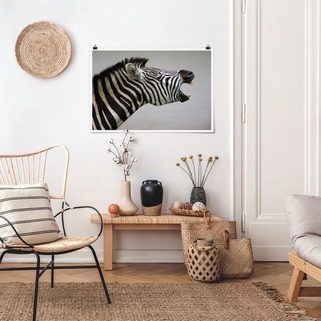 Obrazy nowoczesny Rycząca Zebra
