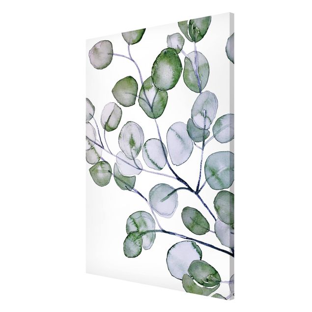 Obrazy nowoczesne Zielona akwarela Gałązka eukaliptusa
