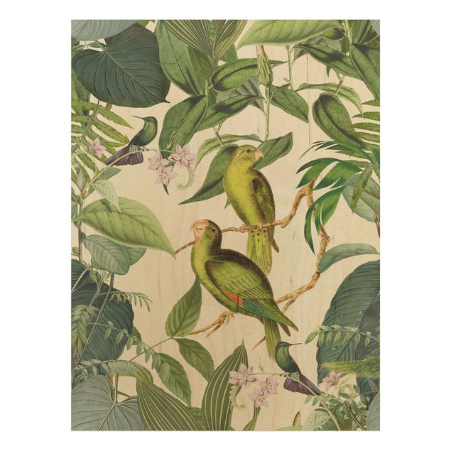 Andrea Haase obrazy  Kolaże w stylu vintage - Papugi w dżungli