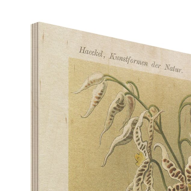 Obraz z drewna - Tablica edukacyjna w stylu vintage Orchidea