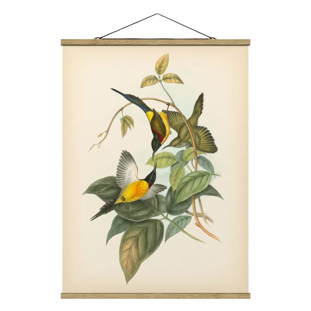 Obraz vintage Ilustracja w stylu vintage Ptaki tropikalne IV