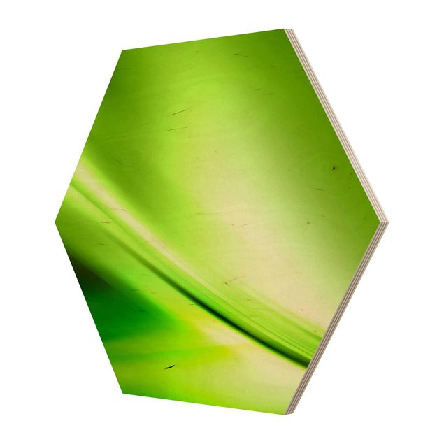 Obraz heksagonalny z drewna - Zielona Dolina