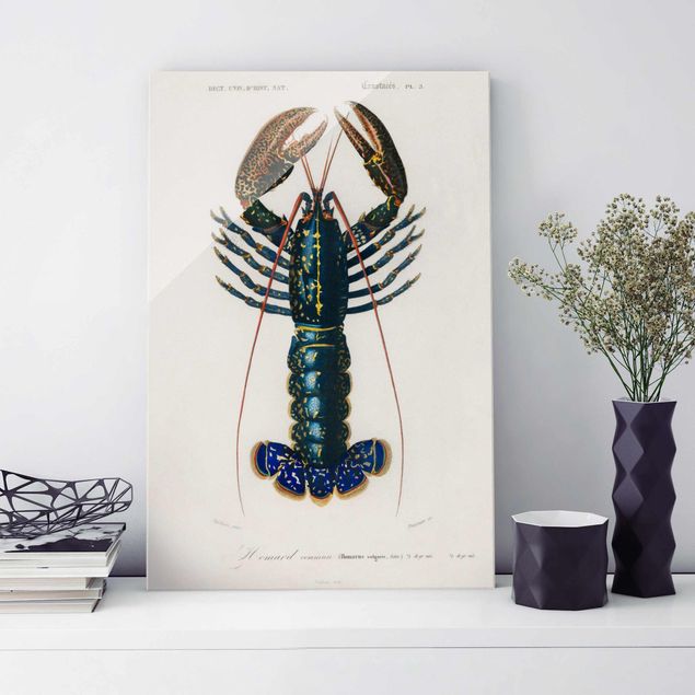 Dekoracja do kuchni Tablica edukacyjna w stylu vintage Niebieski homar