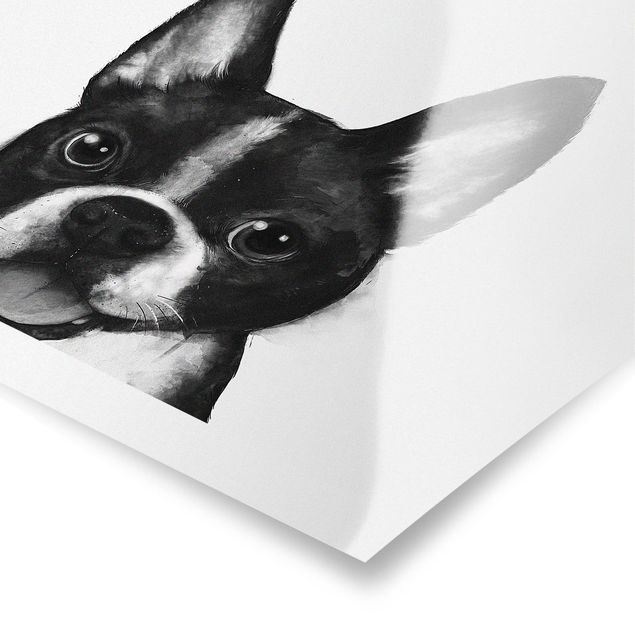 Czarno białe obrazy Ilustracja pies Boston czarno-biały Painting