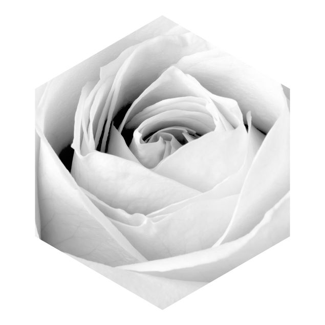 Sześciokątna tapeta samoprzylepna - Róża z bliska