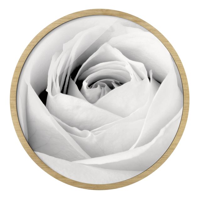 Obrazy z motywem kwiatowym Close Up Rose