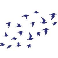 Naklejki ptaszki na sciane Nr 61 Stado ptaków