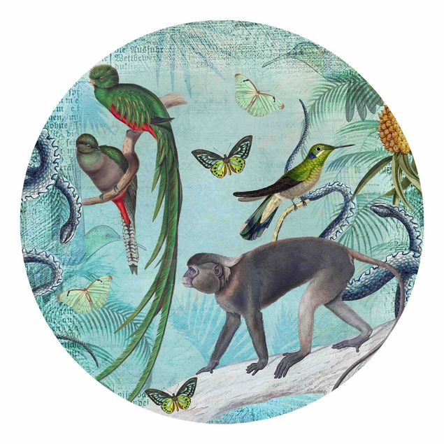 Tapeta zielona Kolaże w stylu kolonialnym - małpy i rajskie ptaki