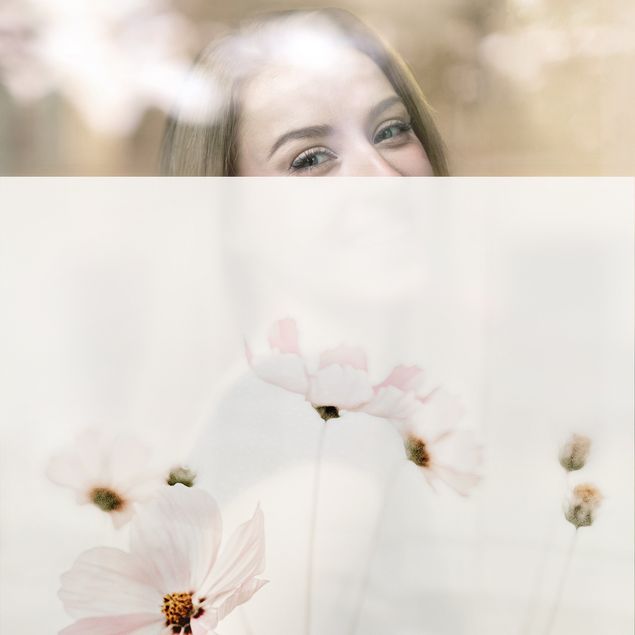 Naklejki na okno w kwiaty Cosmea w delikatnych kremowych kolorach