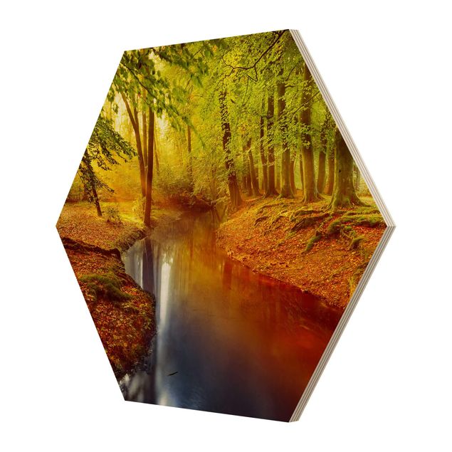 Obraz heksagonalny z drewna - Las jesienny