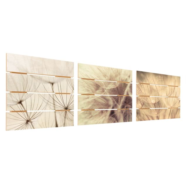 Obraz z drewna 3-częściowy - Mlecze i trawy