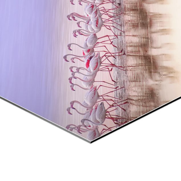 Obraz heksagonalny z Alu-Dibond - Przyjęcie pod Flamingo