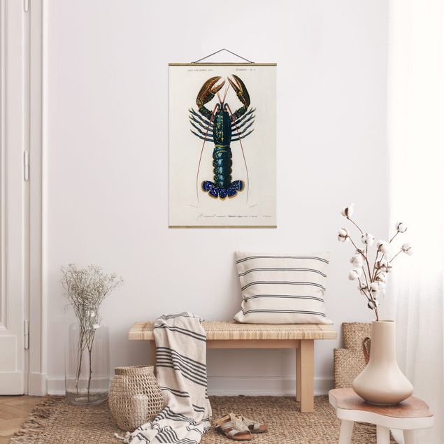 Obrazy do salonu Tablica edukacyjna w stylu vintage Niebieski homar