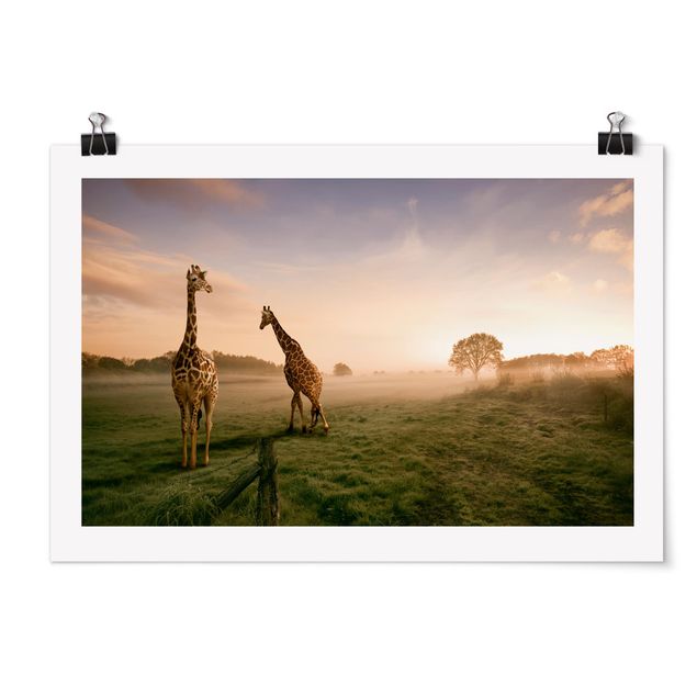 Obraz drzewo Surrealistyczne żyrafy