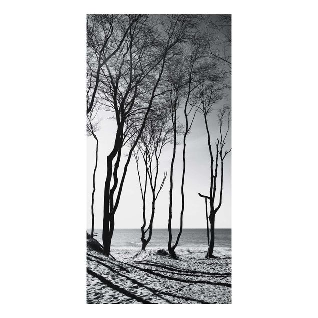 Obrazy do salonu nowoczesne Drzewa nad Morzem Bałtyckim