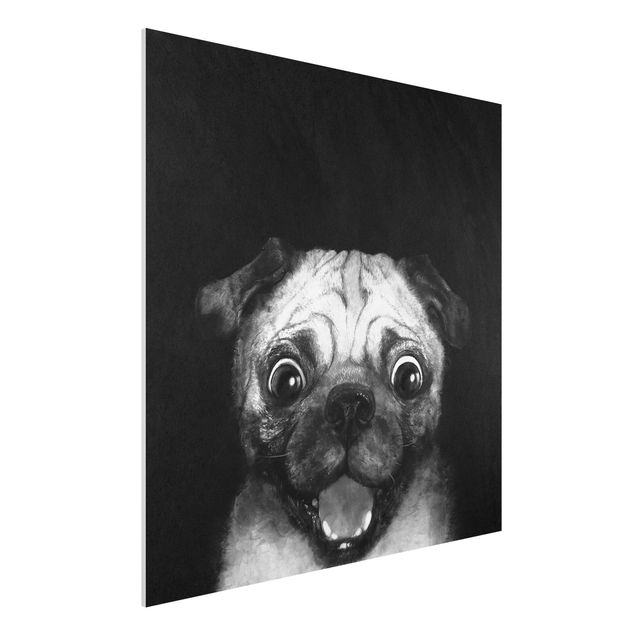 Obrazy do salonu nowoczesne Ilustracja pies Pug malarstwo na czarno-biały