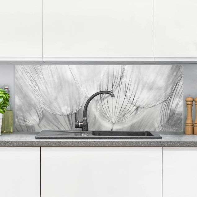 Dekoracja do kuchni Zdjęcie makro mniszka lekarskiego w czerni i bieli