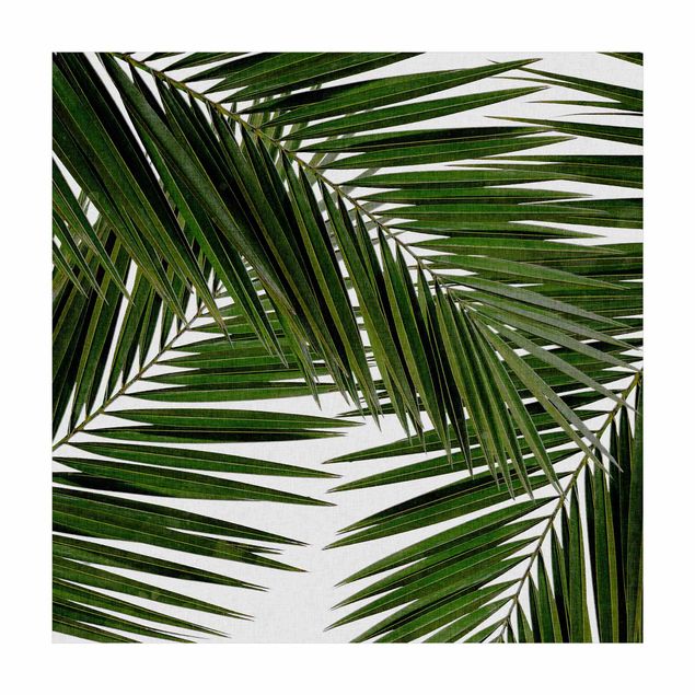 dywan dżungla dla dzieci Widok przez zielone liście palmy
