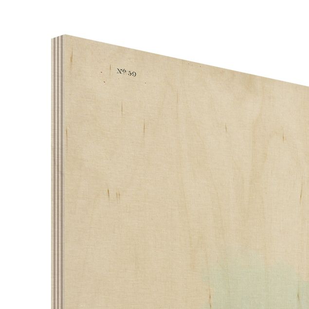 Obraz z drewna - Tablica edukacyjna w stylu vintage Perkoz dwuczuby