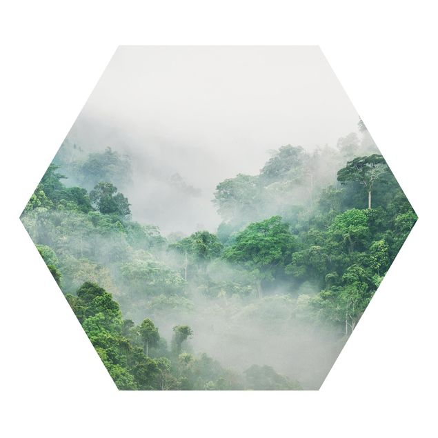 Obrazy na ścianę krajobrazy Dżungla we mgle