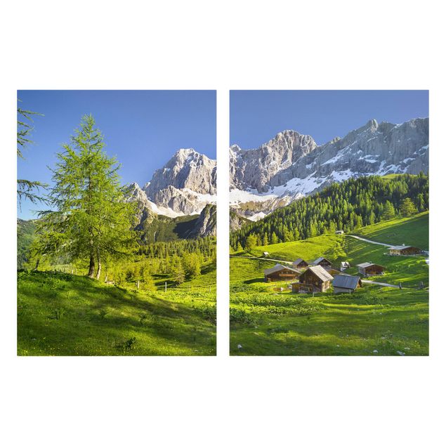 Drzewo obraz Styria Alpejska łąka