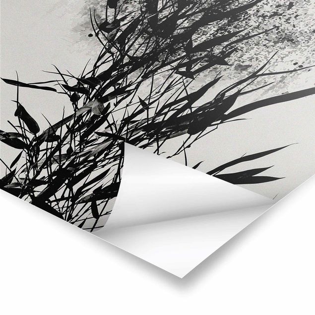 Czarno białe obrazki Graficzny świat roślin - Czarny bambus