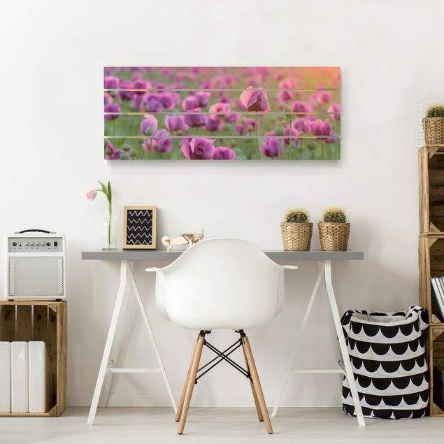 Obrazy Fioletowa łąka z makiem opium wiosną