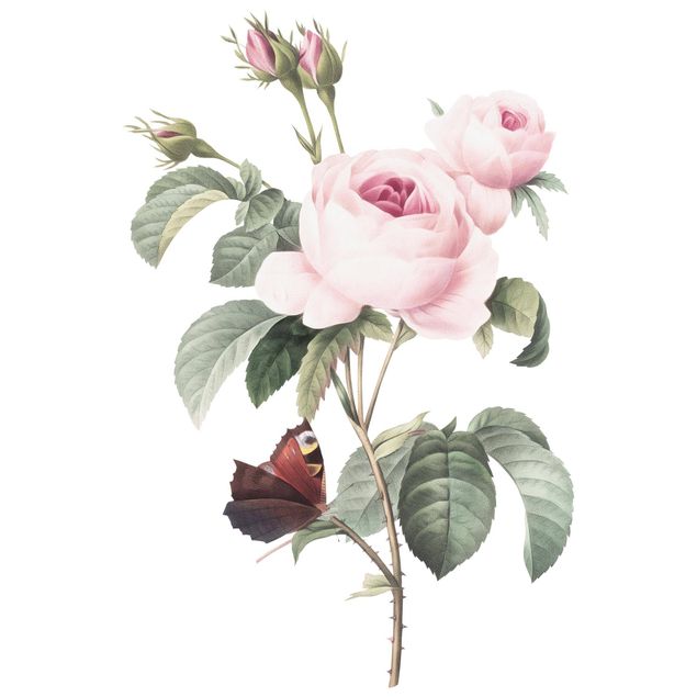 Dekoracja do kuchni Vintage ilustracja róży z pawim okiem XXL