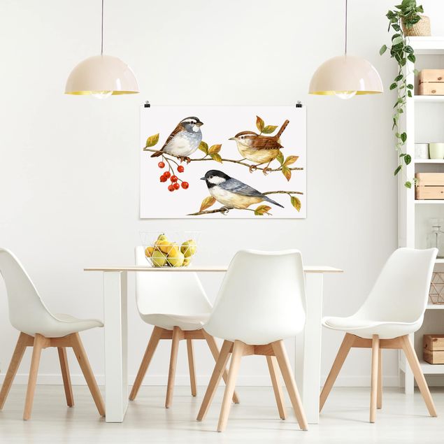 Obrazy nowoczesne Ptaki i jagody - sikorki
