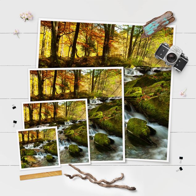 Obrazy natura Wodospad jesienny las