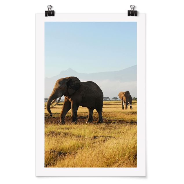 Góry obraz Słonie na tle Kilimandżaro w Kenii
