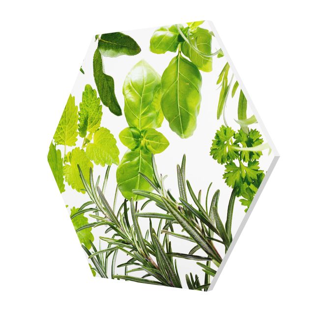 Obraz heksagonalny z Forex - Różne zioła