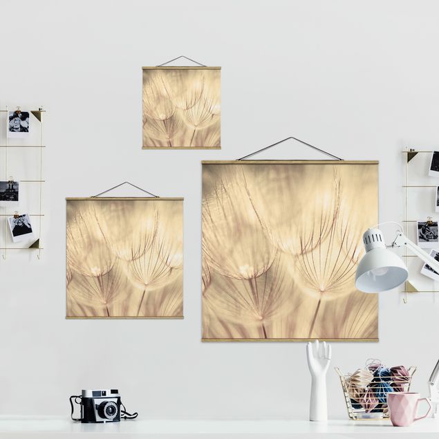 Obrazy motywy kwiatowe Zbliżenie na mniszki lekarskie w domowym zaciszu w tonacji sepii