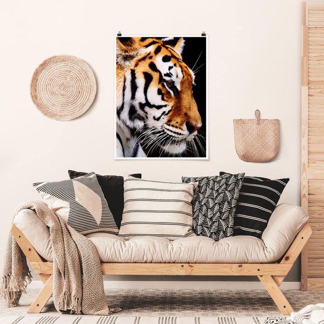 Obrazy nowoczesny Tiger Beauty