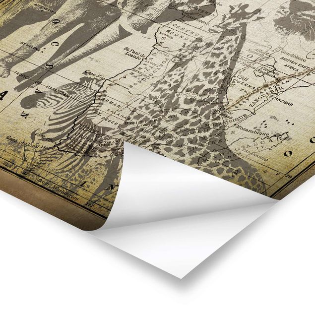 Plakaty vintage Kolaż w stylu vintage - Afryka, dzikie zwierzęta
