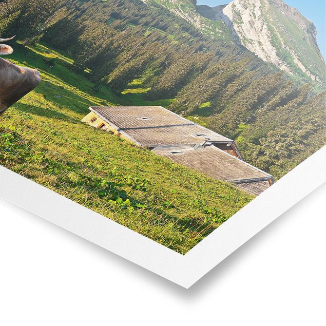 Obrazy z górami Szwajcarska łąka alpejska z krową