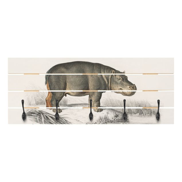 Wieszak ścienny - Tablica edukacyjna w stylu vintage Hipopotam
