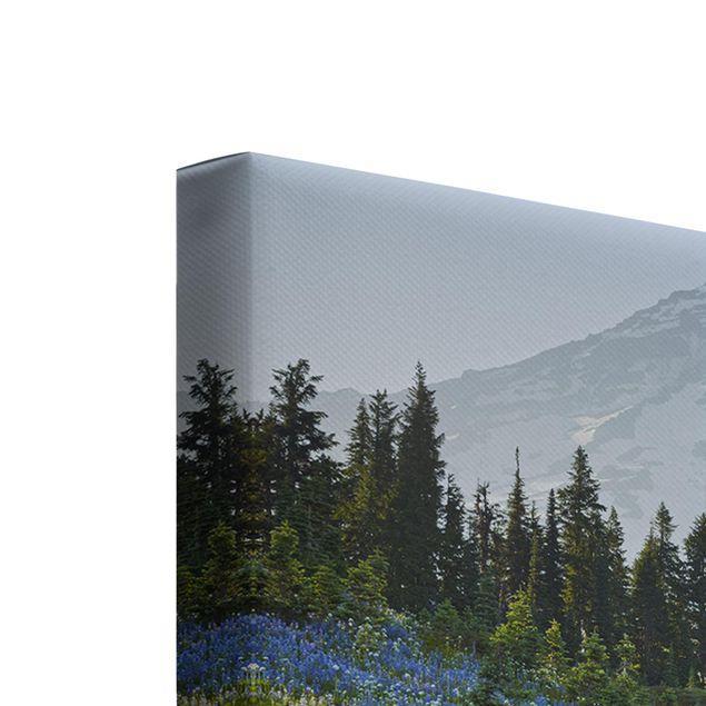 Obrazy na płótnie góra Mountain Meadow With Blue Flowers in Front of Mt. Rainier