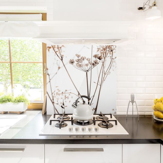 Panel szklany do kuchni Suchy kwiat w grze światła