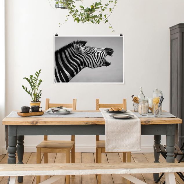 Obrazy nowoczesne Rycząca Zebra II