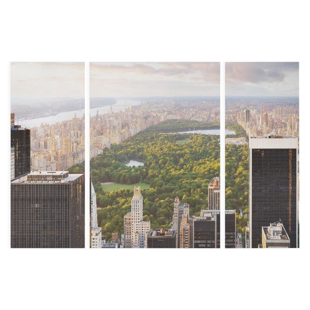 Obrazy na ścianę Widok na Central Park