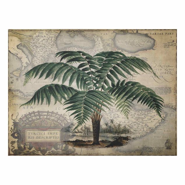 Obrazy do salonu Kolaż w stylu vintage - drzewo palmowe i mapa świata