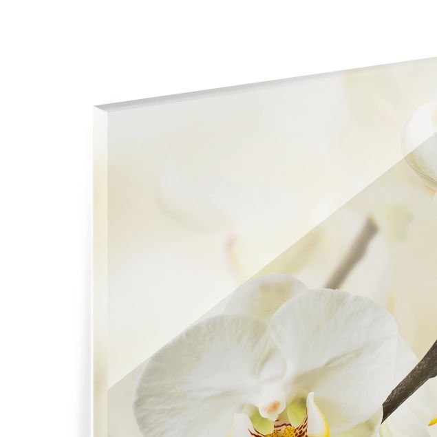 Panel szklany do kuchni - Gałąź Orchidei