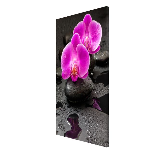 Obrazy do salonu nowoczesne Kwiaty różowej orchidei na kamieniach z kroplami