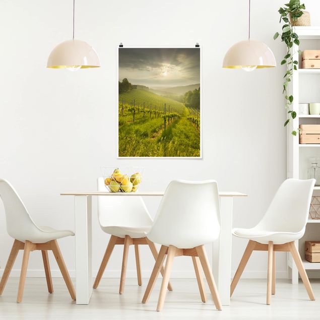 Obrazy do salonu nowoczesne Winnica Promyki Słońca