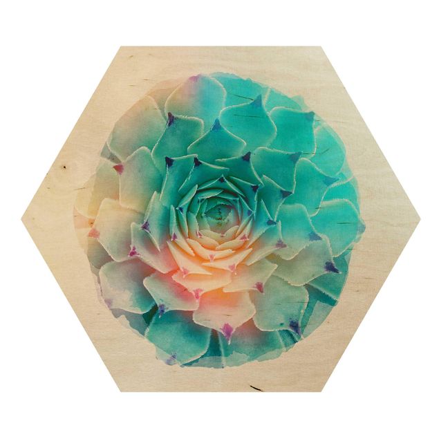 Obraz heksagonalny z drewna - Akwarele - Kaktus Agawa