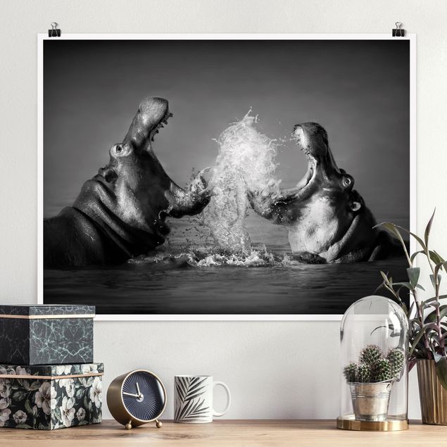 Dekoracja do kuchni Walka z hipopotamami