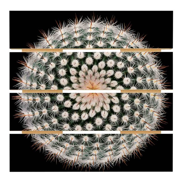 Obraz z drewna - Kwiat kaktusa